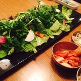 サムギョプサルと野菜 いふう マロニエゲート銀座1店（サムギョプサルトヤサイイフウ）