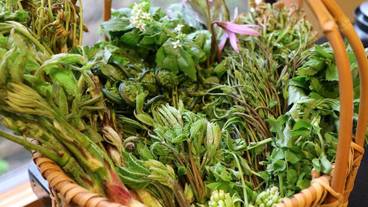 食事・飲み物 / 12