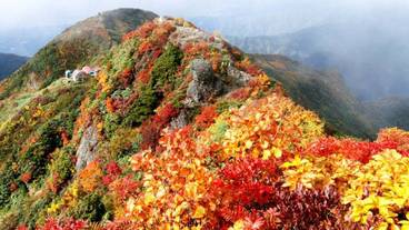 施設の敷地 / 21