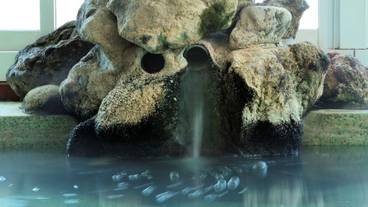 共用バスルーム / 37