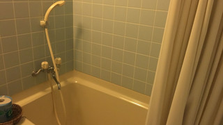 和室8畳 2食付き