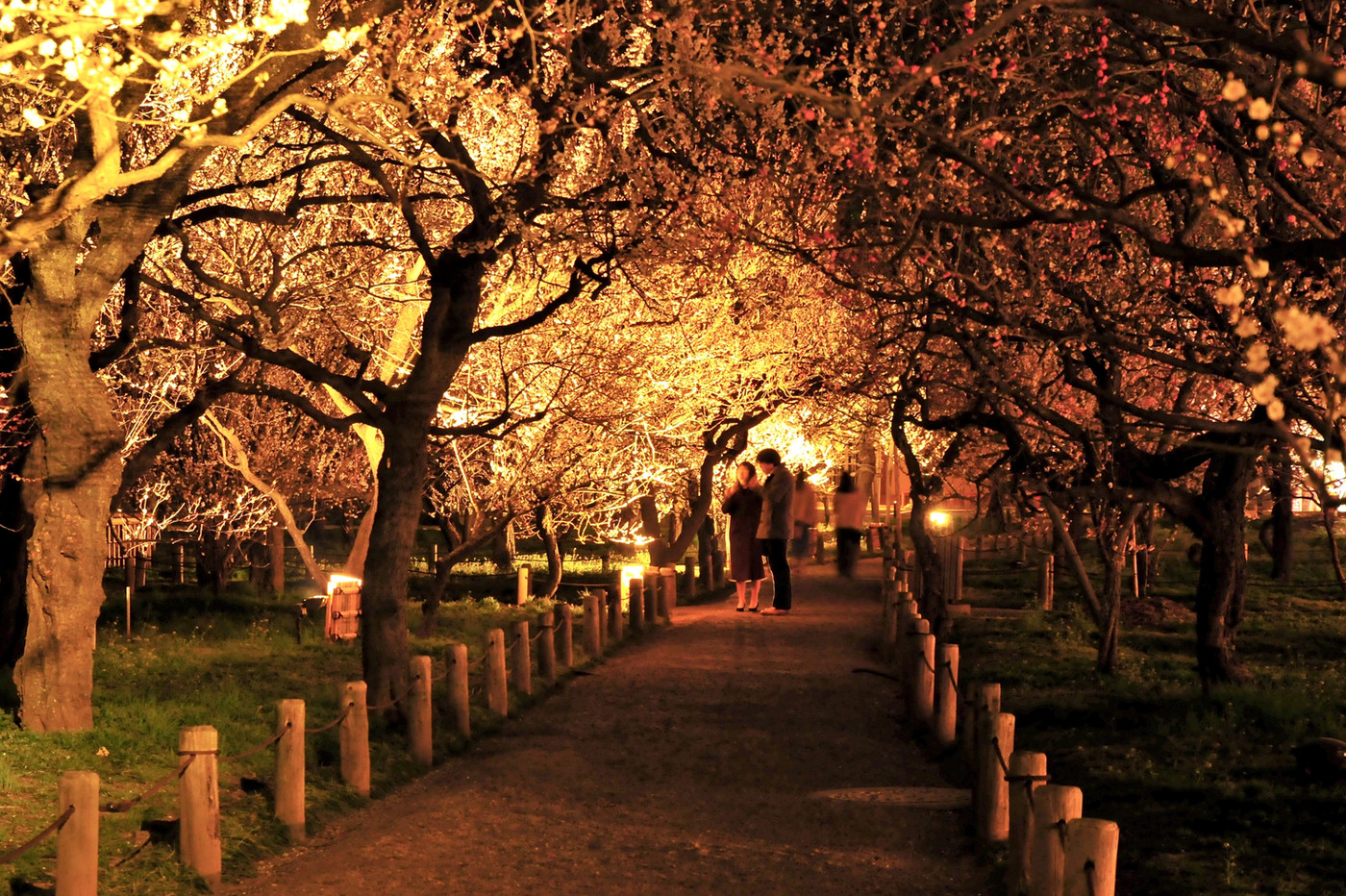 水戸市偕楽園にて