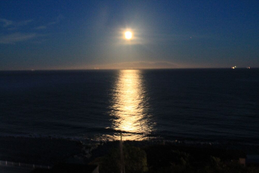 ビーチ / オーシャン ビュー