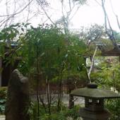 御宿 はなわらび(福岡県 旅館) / 2