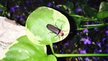 施設の敷地 / 21