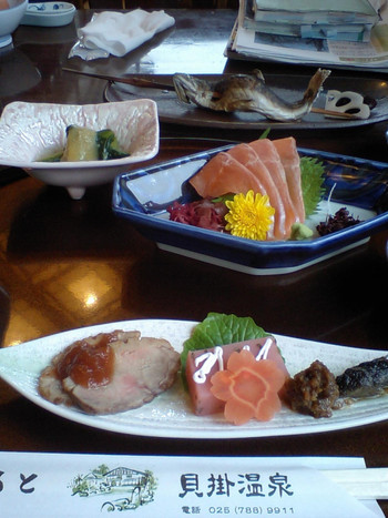 3.眼の温泉 奥湯沢 貝掛温泉3384605
