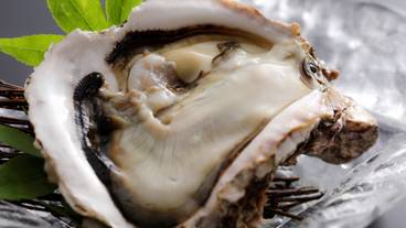 岩牡蠣(初夏~夏) / 4