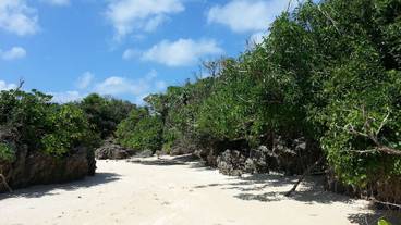 施設からの眺望 / 18