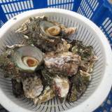 マルモ水産 九十九島海上かき小屋（マルモスイサンクジュウクシマカイジョウカキゴヤ）