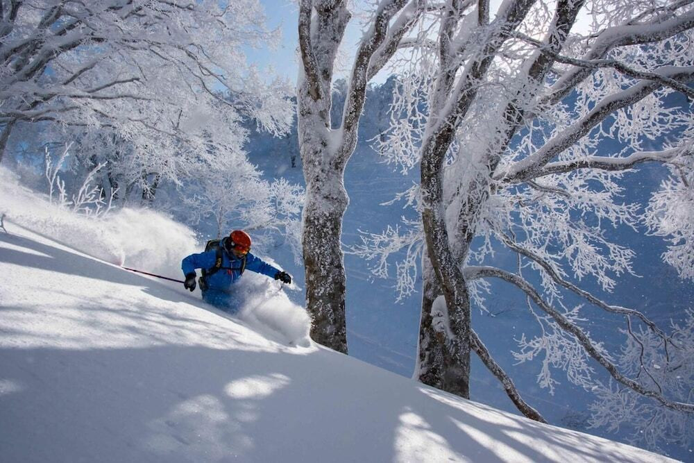 スノー スポーツとスキー