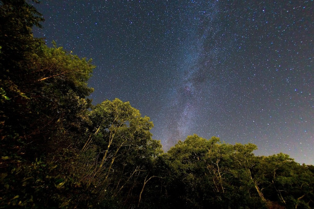 施設からの眺望