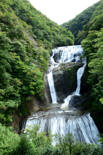 袋田の滝（茨城県久慈郡大子町）105615