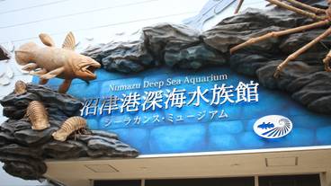 沼津港深海水族館 / 2