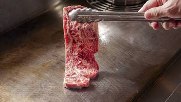 ビュッフェ / 14