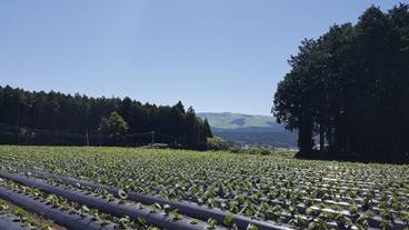 施設からの眺望 / 16