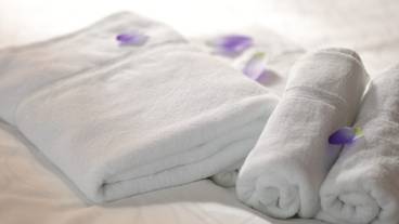 客室の設備とサービス / 14