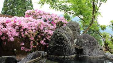 バスルーム / 36