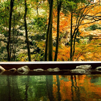 渓流を臨む大浴場で、ほっと一息3521887