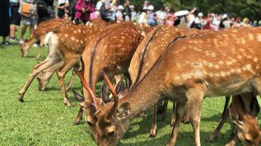 観光スポット / 3