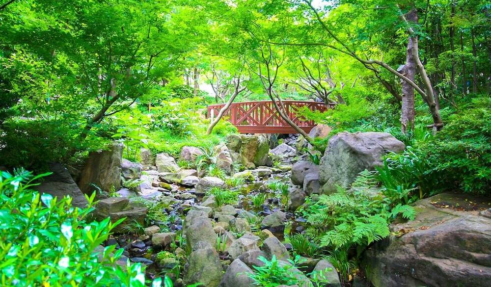 「中自然の森」で
朝のお散歩タイム / 1