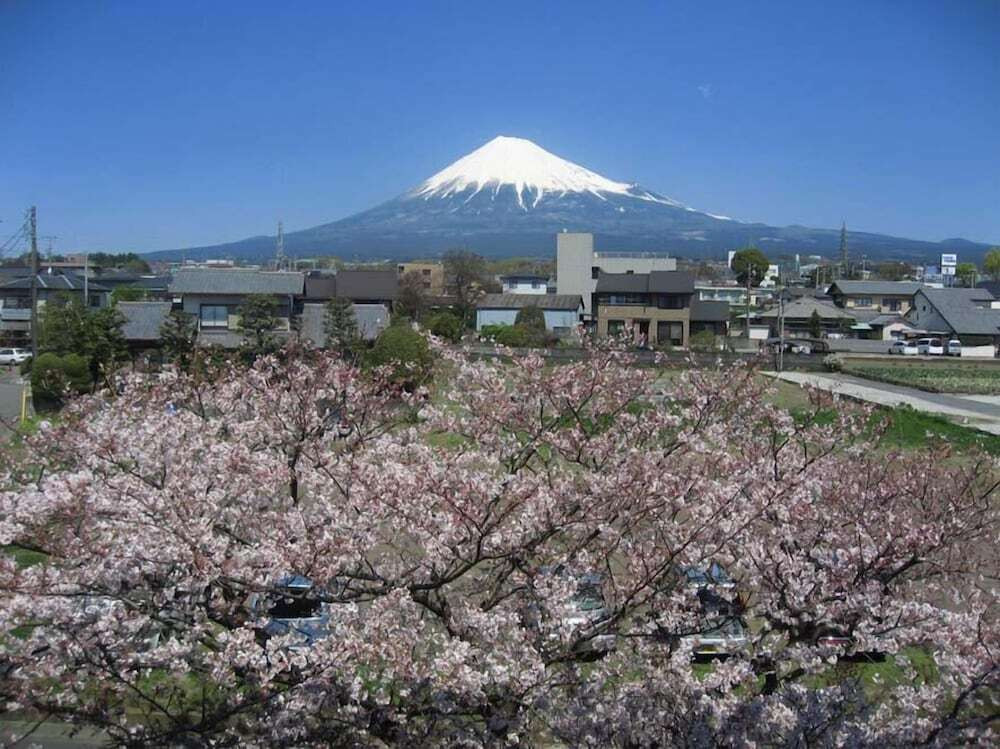 マウンテン ビュー