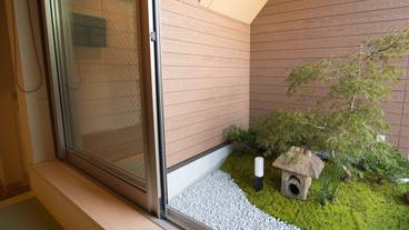 部屋からの景観 / 31