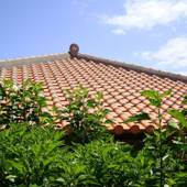 Resort life kabira（石垣島）（沖縄県 ペンション） / 3