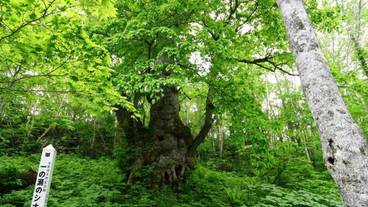 施設の敷地 / 27