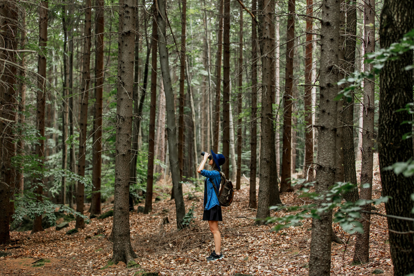 Young woman with binocular and backpack in a forest 
