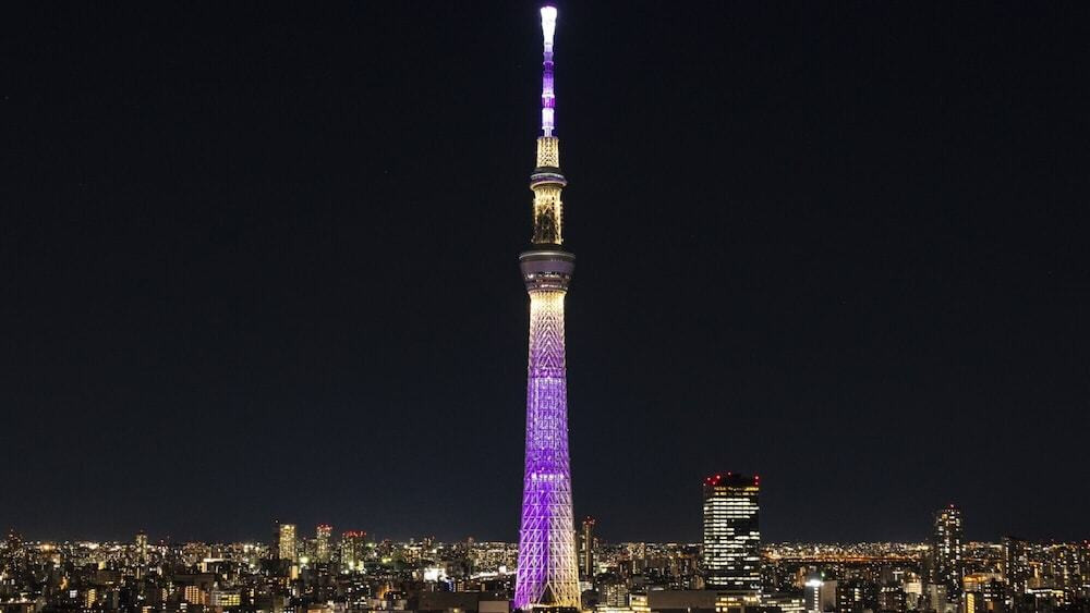 施設からの眺望