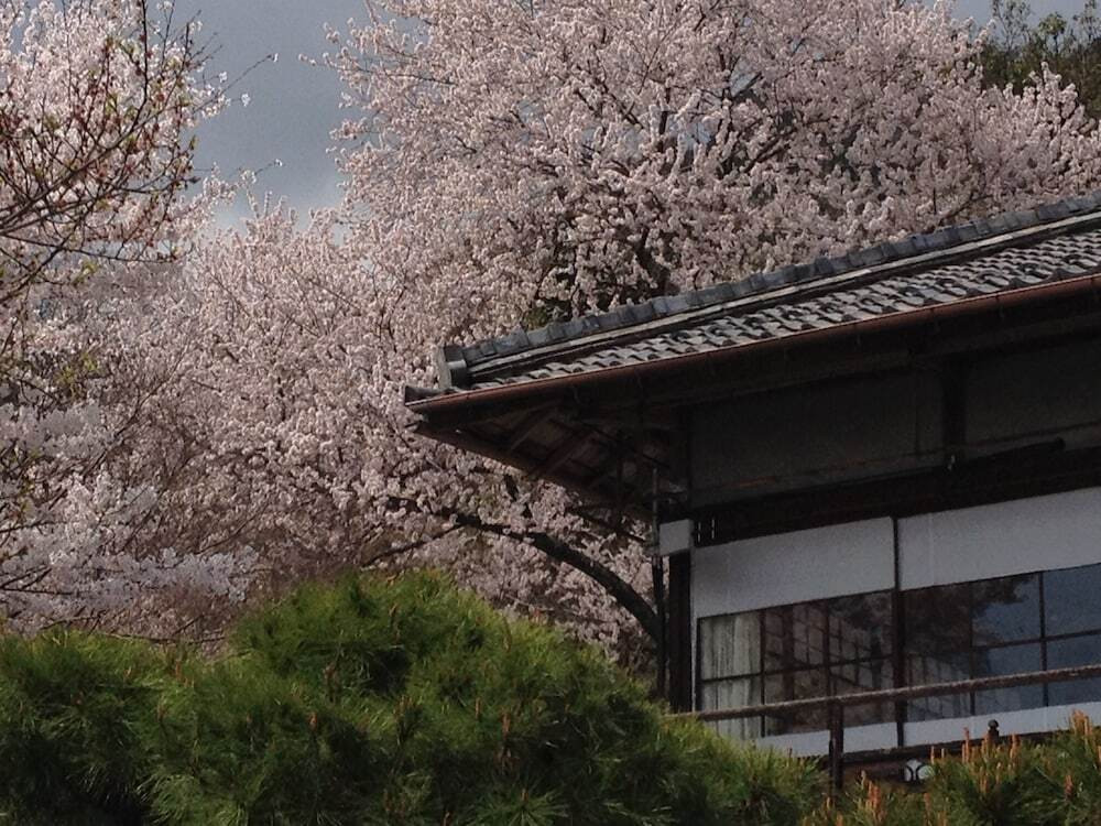 中庭
