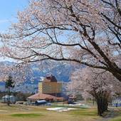 舞子温泉 飯士の湯 舞子高原ホテル（新潟県 リゾートホテル） / 4