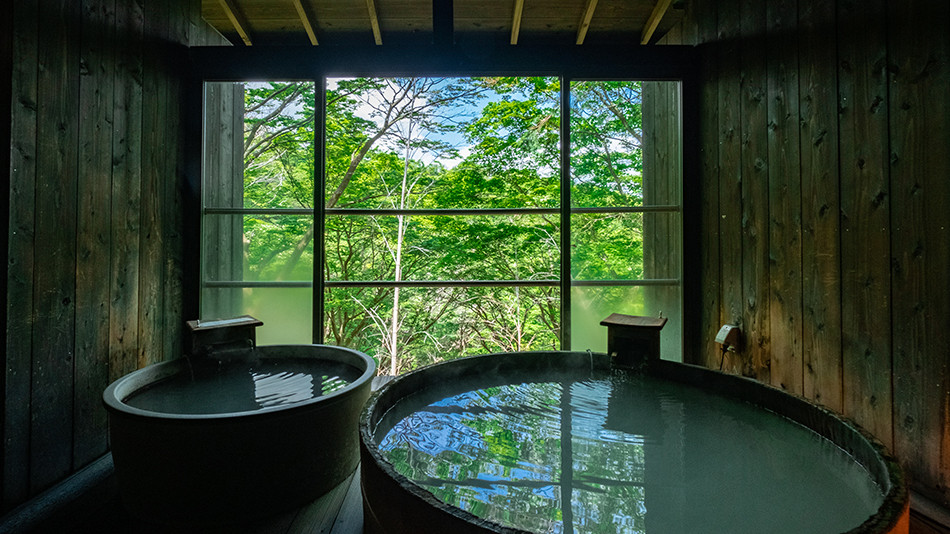 箱根の自然と温泉が満喫できる贅沢宿3403561