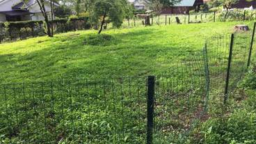 施設の敷地 / 11