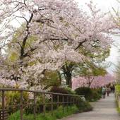 RESI STAY GION（京都府 アパートメント） / 3