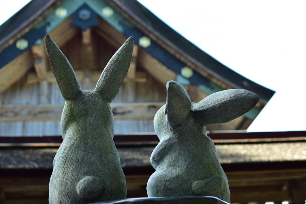 出雲市エリア3437453