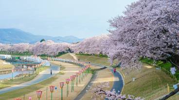 観光スポット / 17