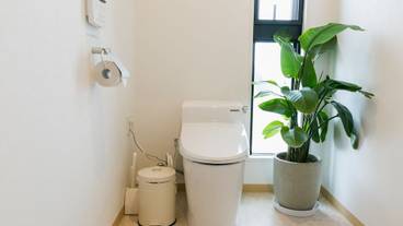 バスルーム / 31