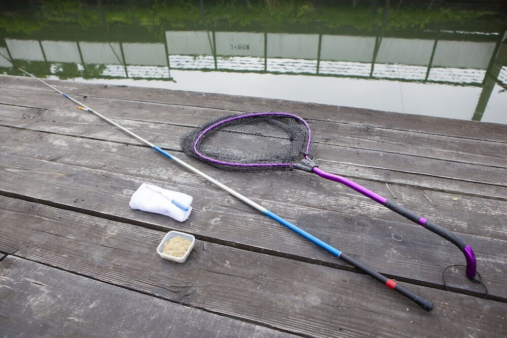 客室の設備とサービス