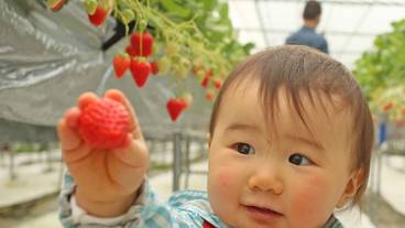 子供向けアクティビティ / 5