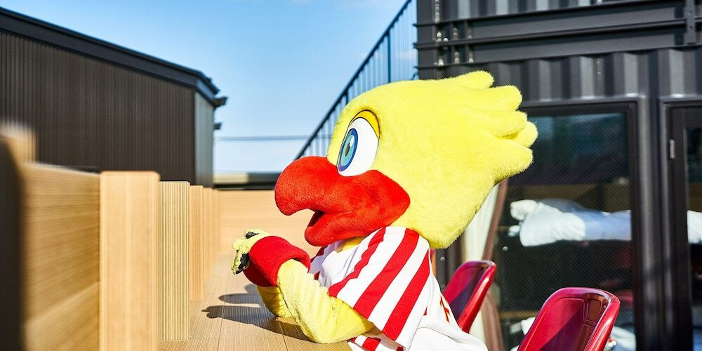 テラス / パティオ