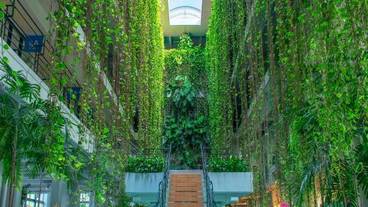 ザ・ムーンビーチ ミュージアムリゾート（ホテル ムーンビーチ） / 3