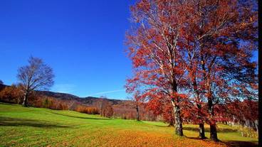 施設からの眺望 / 9
