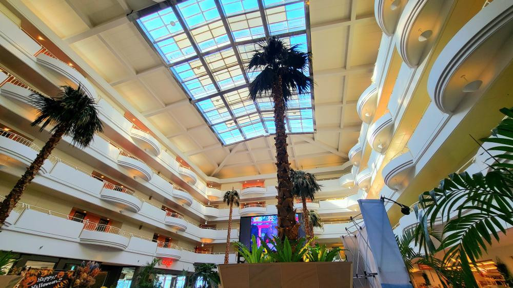 k.misato.jhさんの写真 / 1