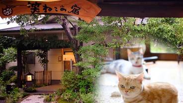 メイン イメージ / 1