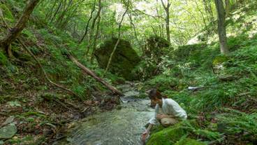 アクティビティ 朝さんぽ / 9