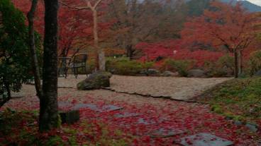 施設の敷地 / 24