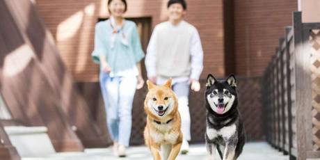 伊豆高原わんわんパラダイス ホテル＆コテージ