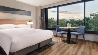 スーペリア ルーム キングベッド 1 台 マウンテンビュー