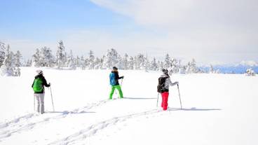 スノー スポーツとスキー / 4